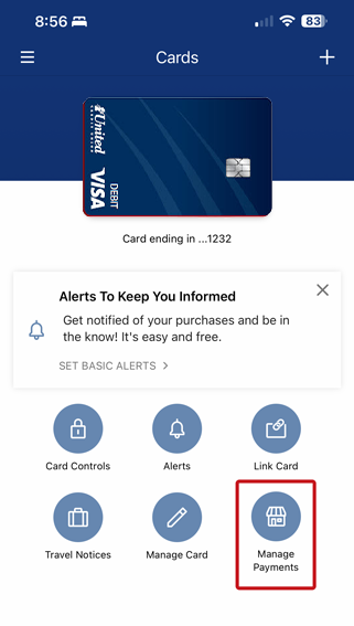 manage payments in the card controls app
