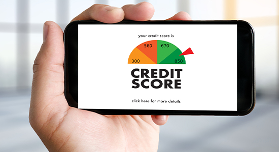 Credit score meter