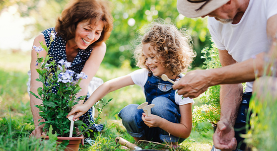 Grandparents gardening with grandchild