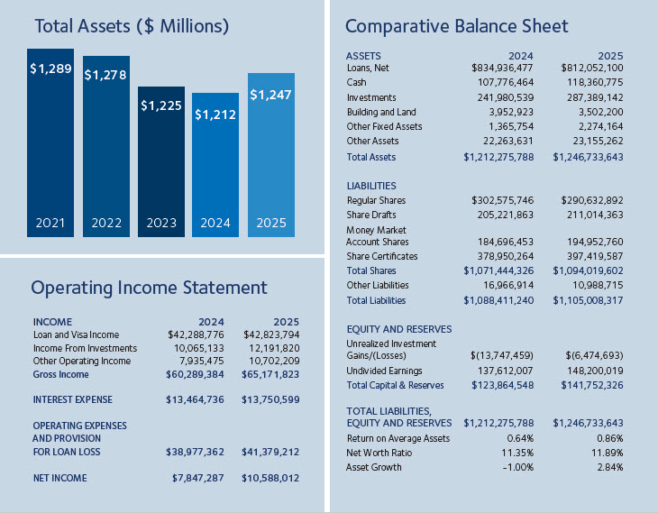2025 financial infographic