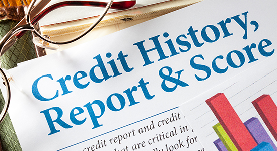 Credit History Report & Score