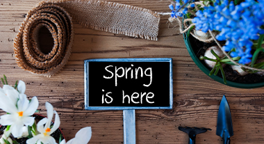Spring is Here