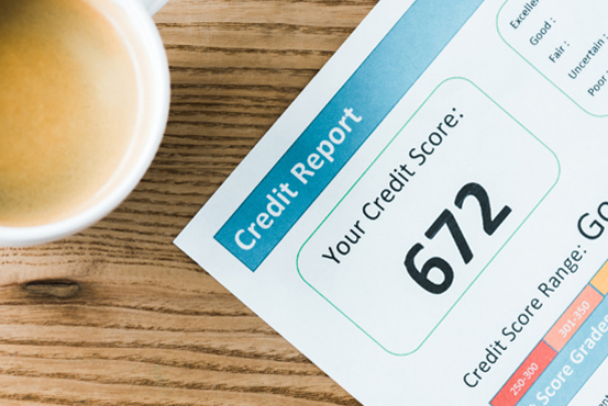 Sample Credit Score