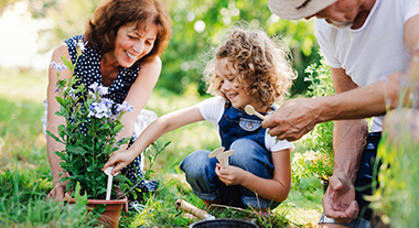 Grandparents gardening with grandchild