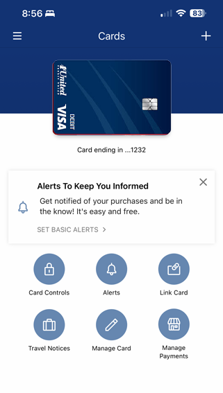 Card Controls dashboard
